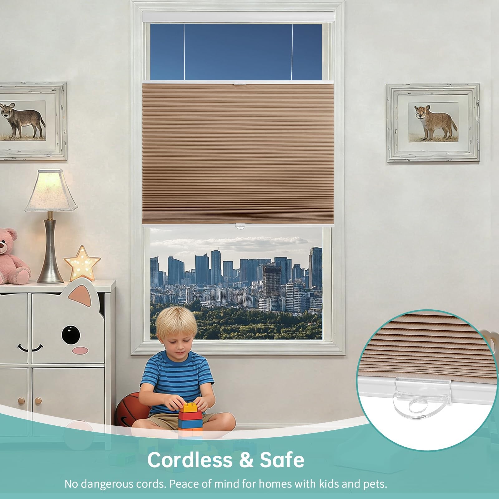 Changshade Blackout Top Down Bottom Up Cellular Shades Cordless Honeycomb