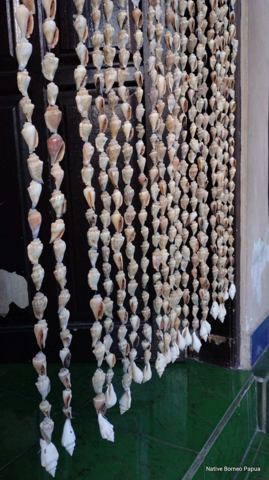 10 strand Papua big shells curtains,new guinea art, home decor, gifts,wall deco