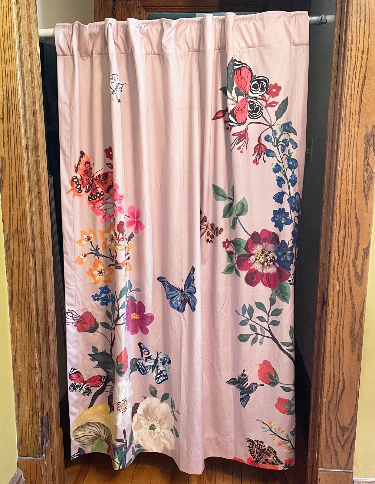Natalie Leté Anthropologie Pink Velvet Butterfly Floral Curtain Panel 50″ x 63″