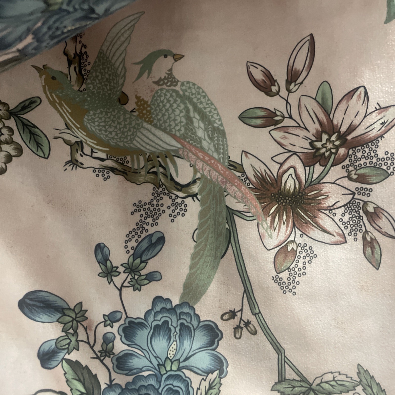 Callisto Home Peacock Bird Floral Curtains 2pc Window Panels Drapes New 38 x 84”