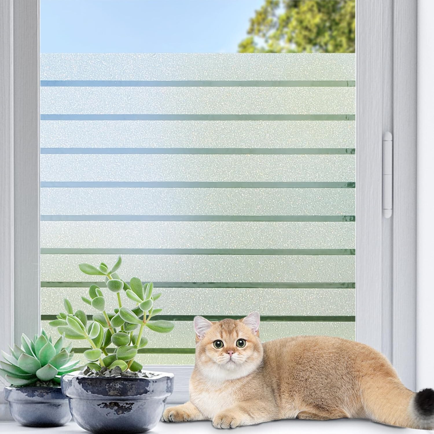 2-Pack Coavas Frosted Window Film, 23.6×78.7in, Heat Blocking, Static Cling