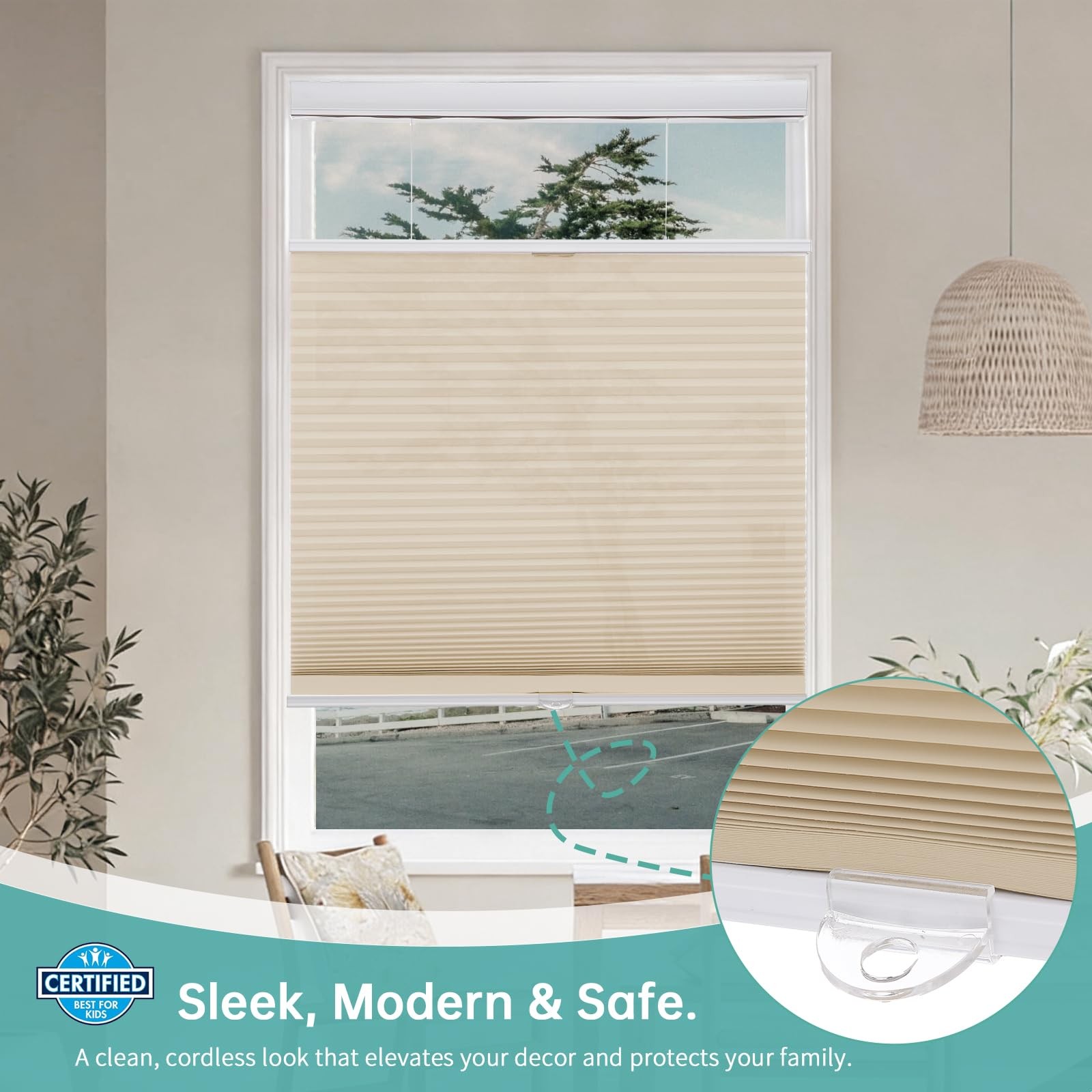 Changshade Top Down Bottom Up Light Filtering Cellular Shades Cordless
