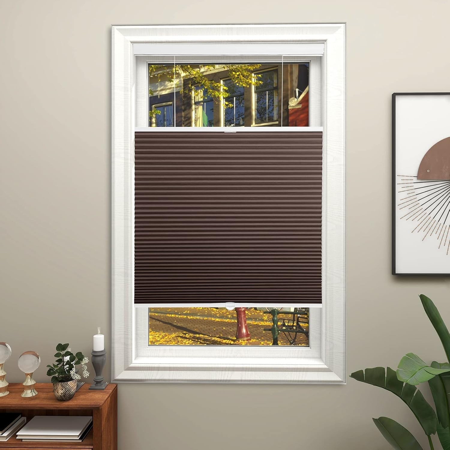 Changshade Blackout Top Down Bottom Up Cellular Shades Cordless Honeycomb