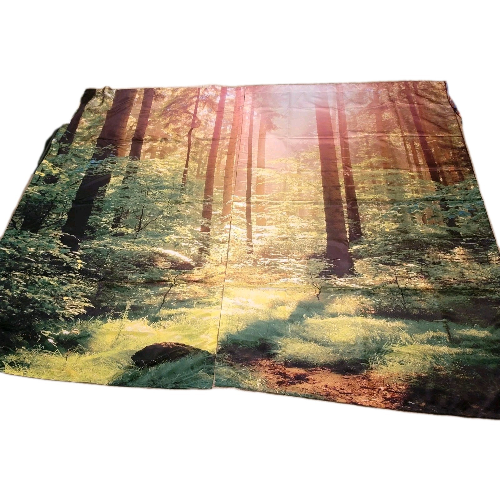 NEW! 84X54 2-Pannel Curtains: Nature Scenery, Forest, Sunlight, Trees, Green