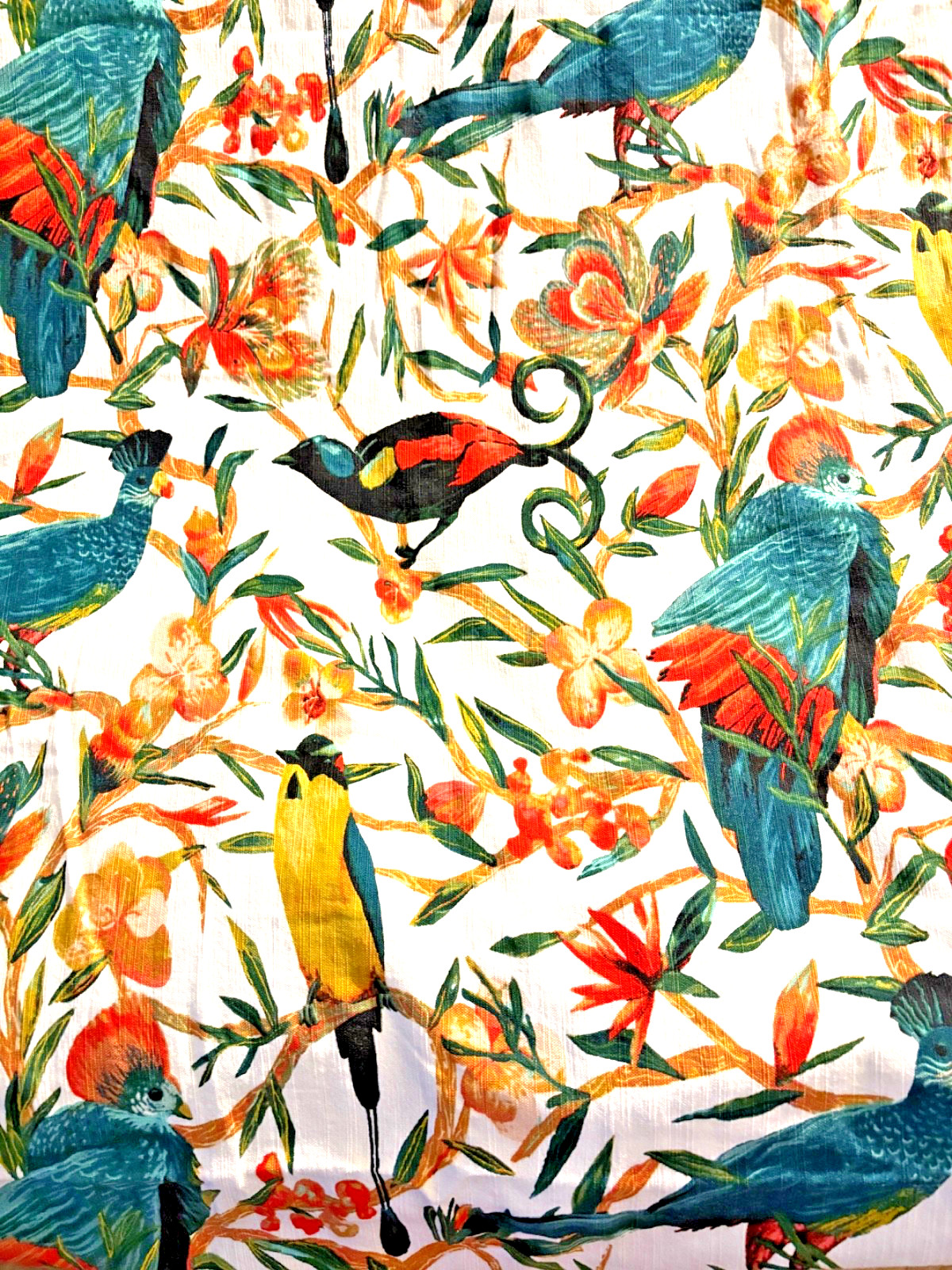 Target Opal House Floral Tropical Birds Cotton Shower Curtain 68″x 72″