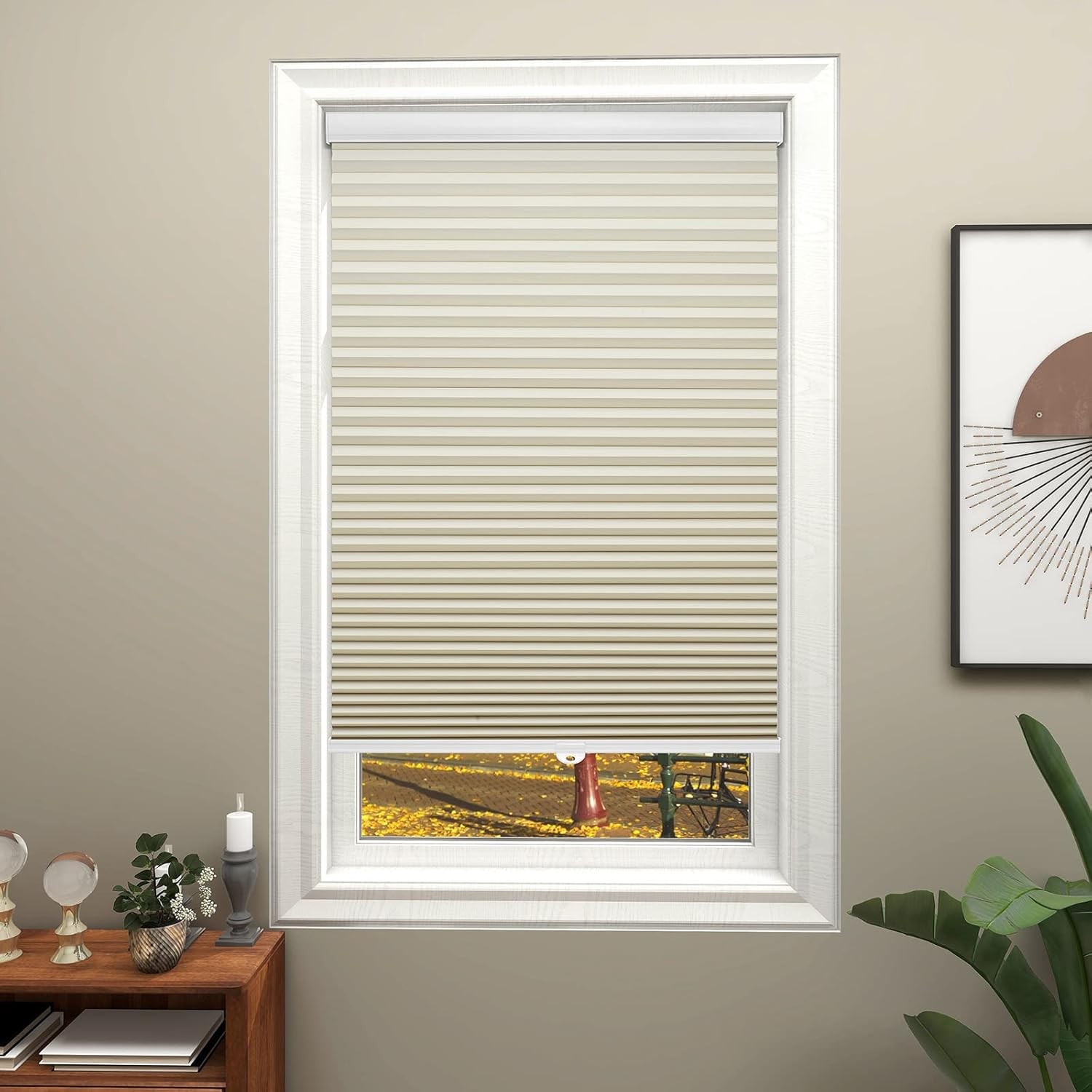 Changshade Cordless Cellular Shades Honeycomb Blinds Window Shades- Blackout