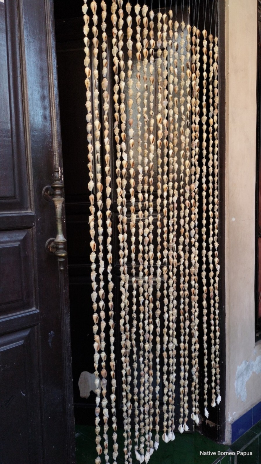 10 strand Papua big shells curtains,new guinea art, home decor, gifts,wall deco