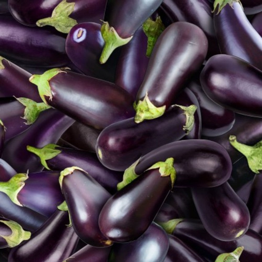Curtain Valance – Food Festival Eggplant Cotton