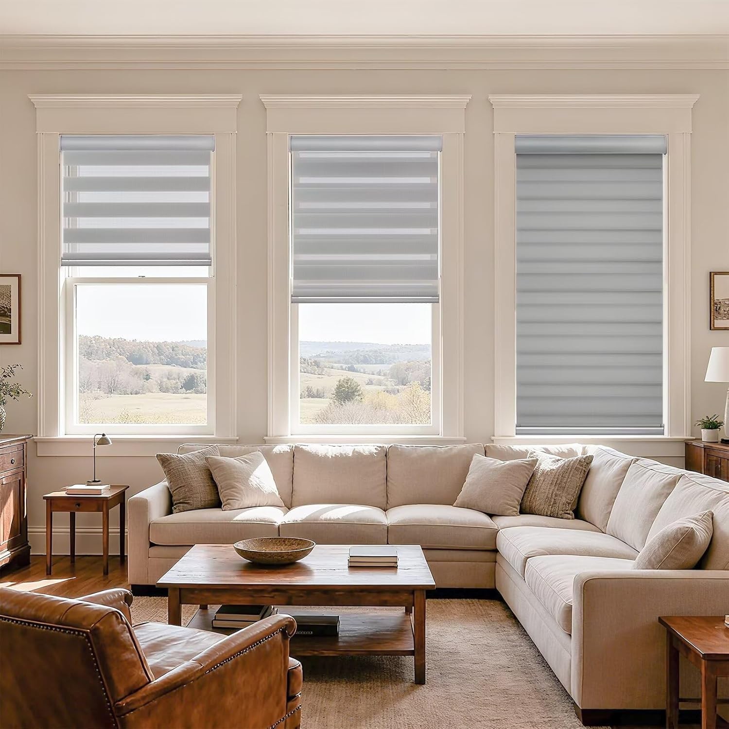 Cordless Zebra Window Shades – Stylish Privacy & Light Control, 48″ W x 72″ H