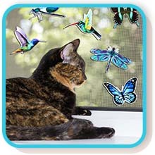 12 Pcs Hummingbird Retractable Screen Door Magnets Butterfly Dragonfly Double