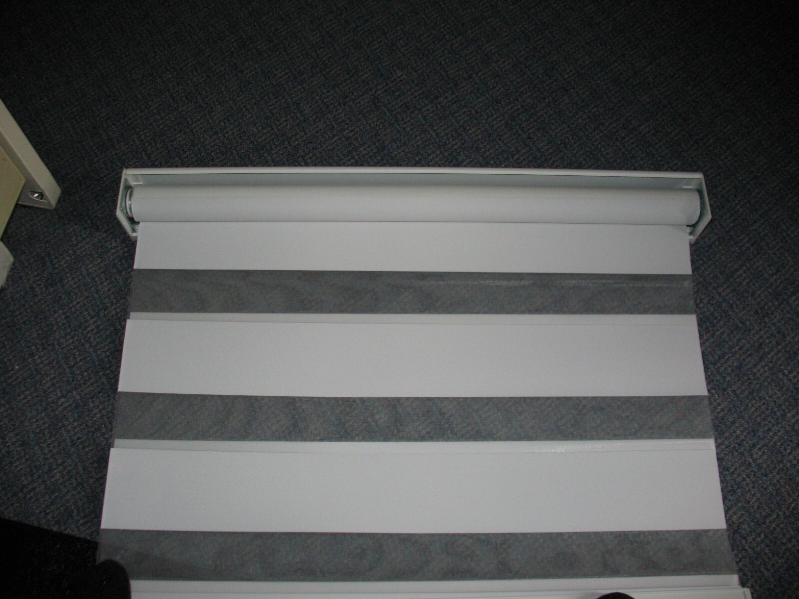 Persilux Cordless Zebra Window Blind Free-Stop Roller Windows Shade (31″ X 64″)