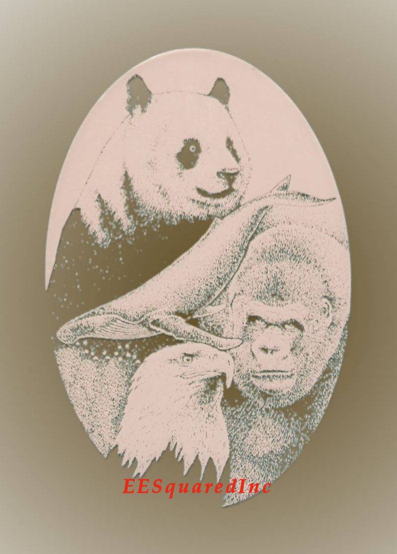 Panda Eagle Whale Gorilla Window Decal 10×16 Static Cling Vinyl Glass Decor NEW