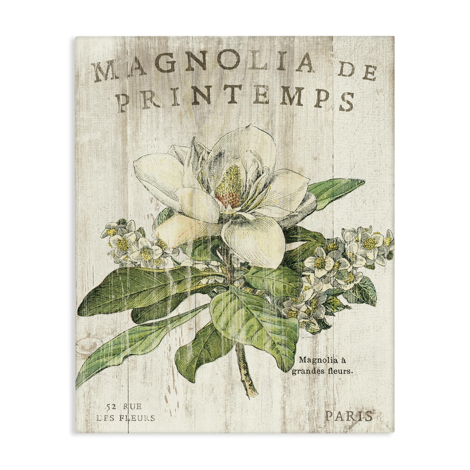 French Magnolias In Spring Stretched Canvas Wall Art, Proudly Made in USA, Desig