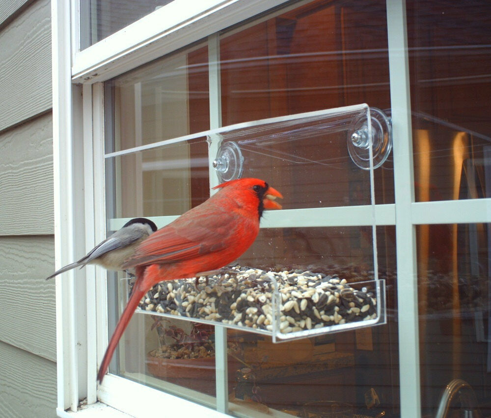 Window Bird Feeder Reflective Mirror Film UV Home Heat Insulation 12″X1′
