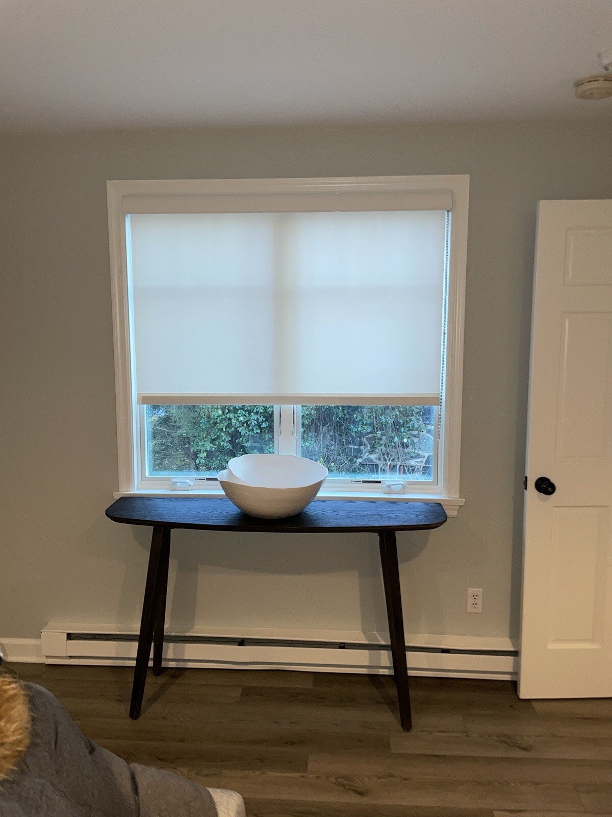 roller shades ￼blinds for windows 42/46 include installation￼ in nyc