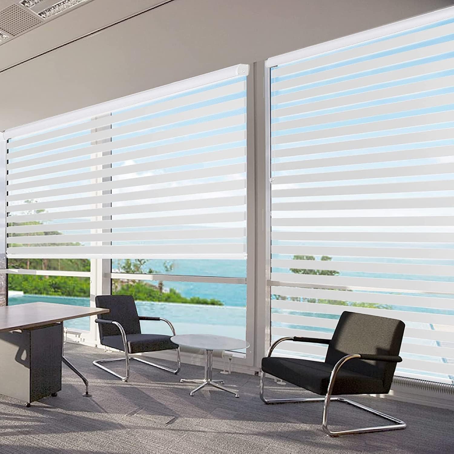 Cordless Zebra Blinds for Windows, Dual Layer Free-Stop Zebra Shades Privacy …