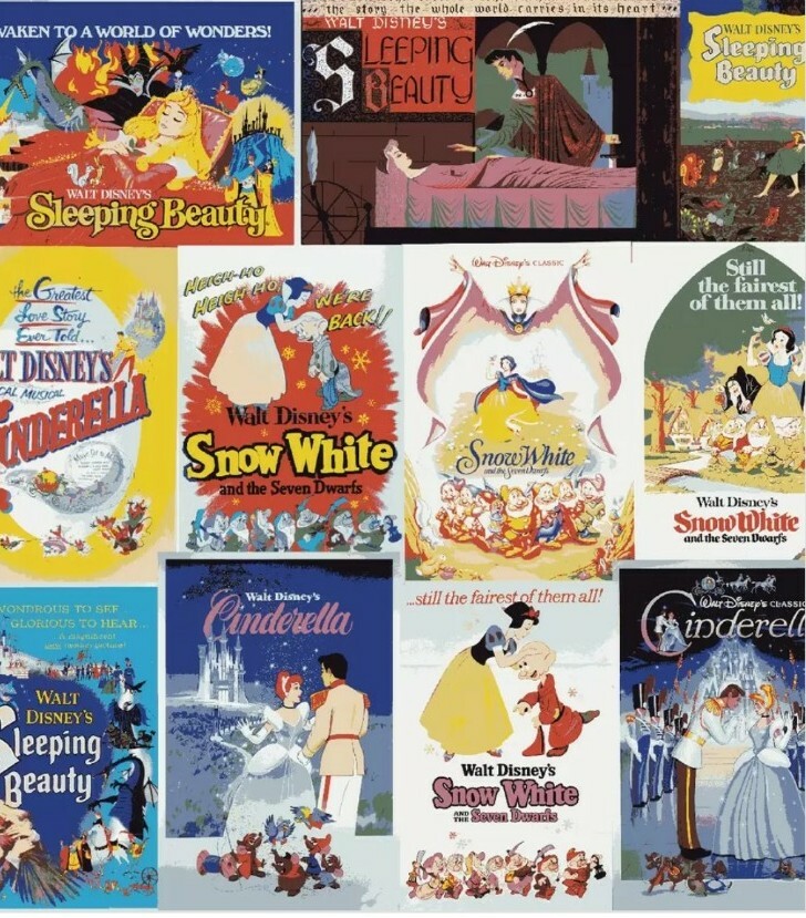 LINED WINDOW VALANCE 42X12 DISNEY POSTER CINDERELLA SNOW WHITE SLEEPING BEAUTY