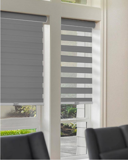 Cordless Light Filtering Dual Layer Zebra Roller Shade 27 in. W x 72 in. L