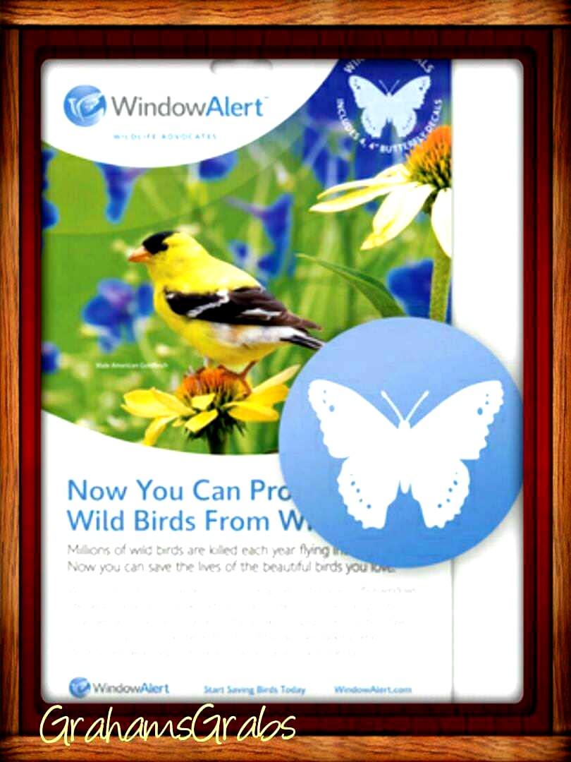 WINDOW ALERT ANTI-COLLISION CLINGS BUTTERFLY DECALS PREVENT WINDOW STRIKES