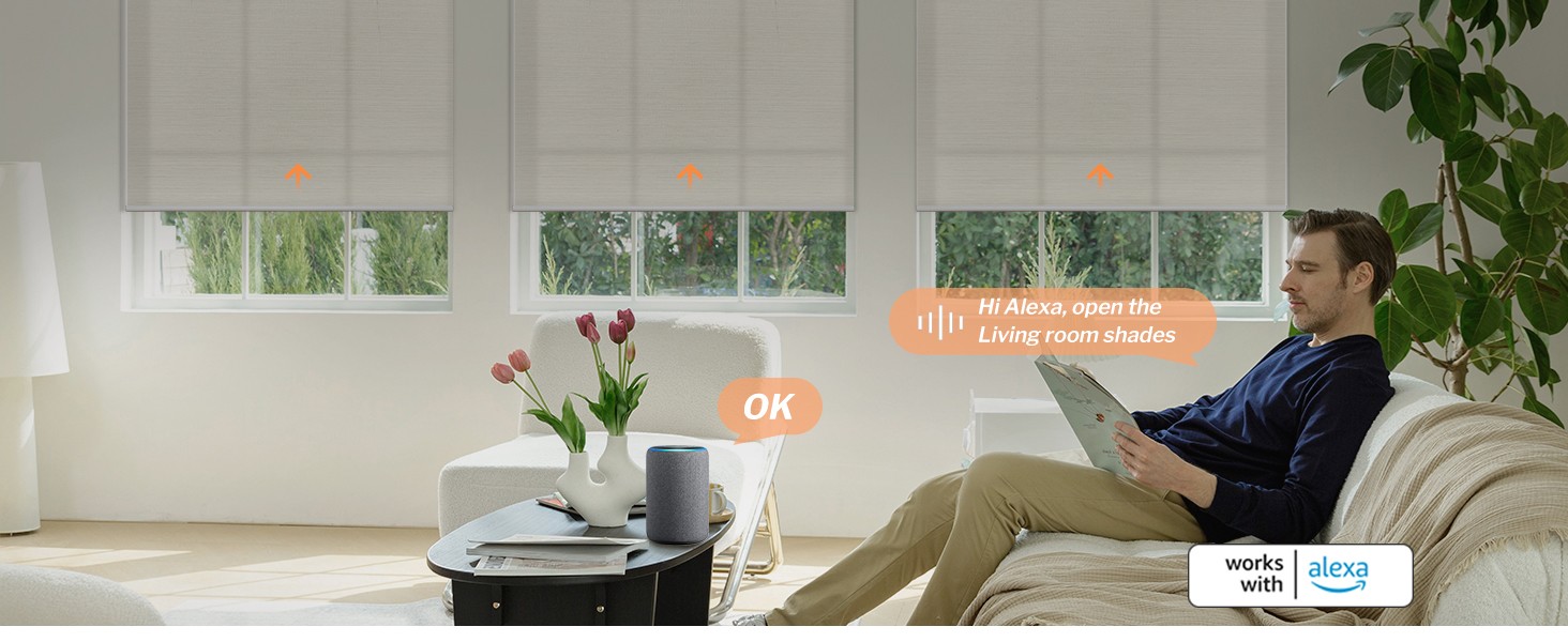Motorized Blinds with Remote APP Control Light Filtering Roller Shades for