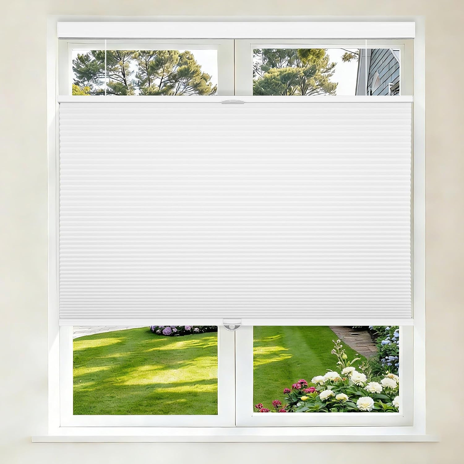 Top down Bottom up Cellular Shades Cordless, 34″ Wx64 H, Pull down Honeycomb Bli