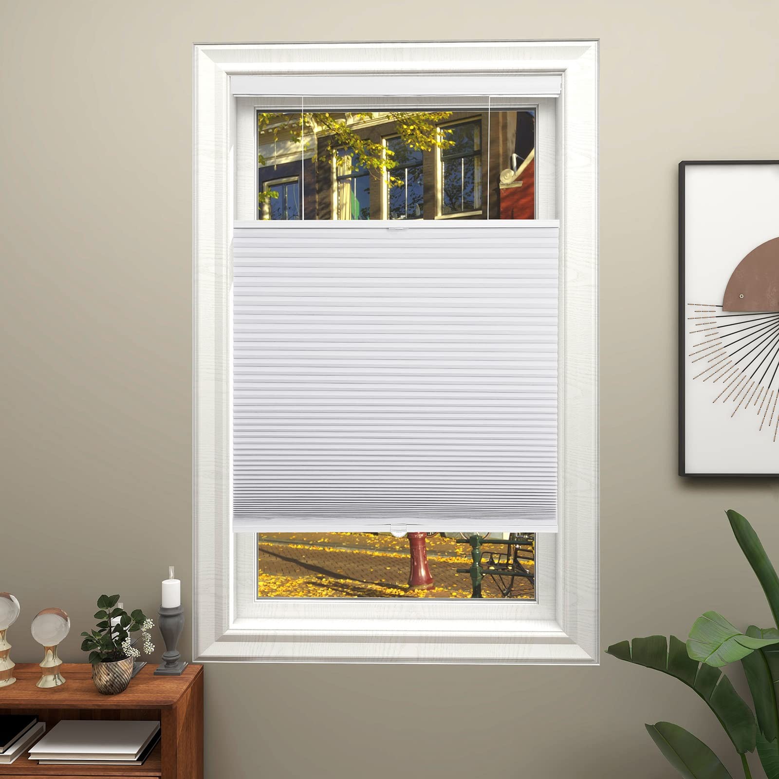 Changshade Blackout Top Down Bottom Up Cellular Shades Cordless Honeycomb