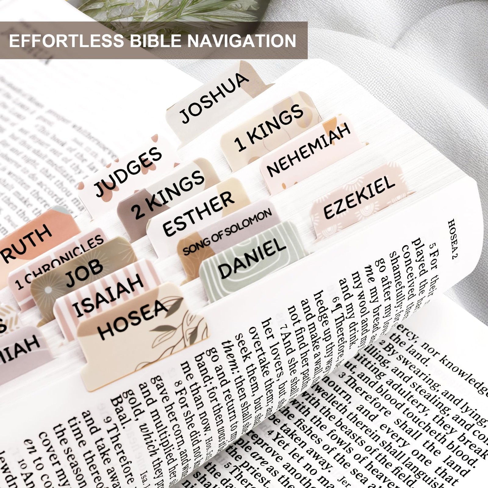 Laminated Bible Tabs for Women & Men – Large Print Study A-boho