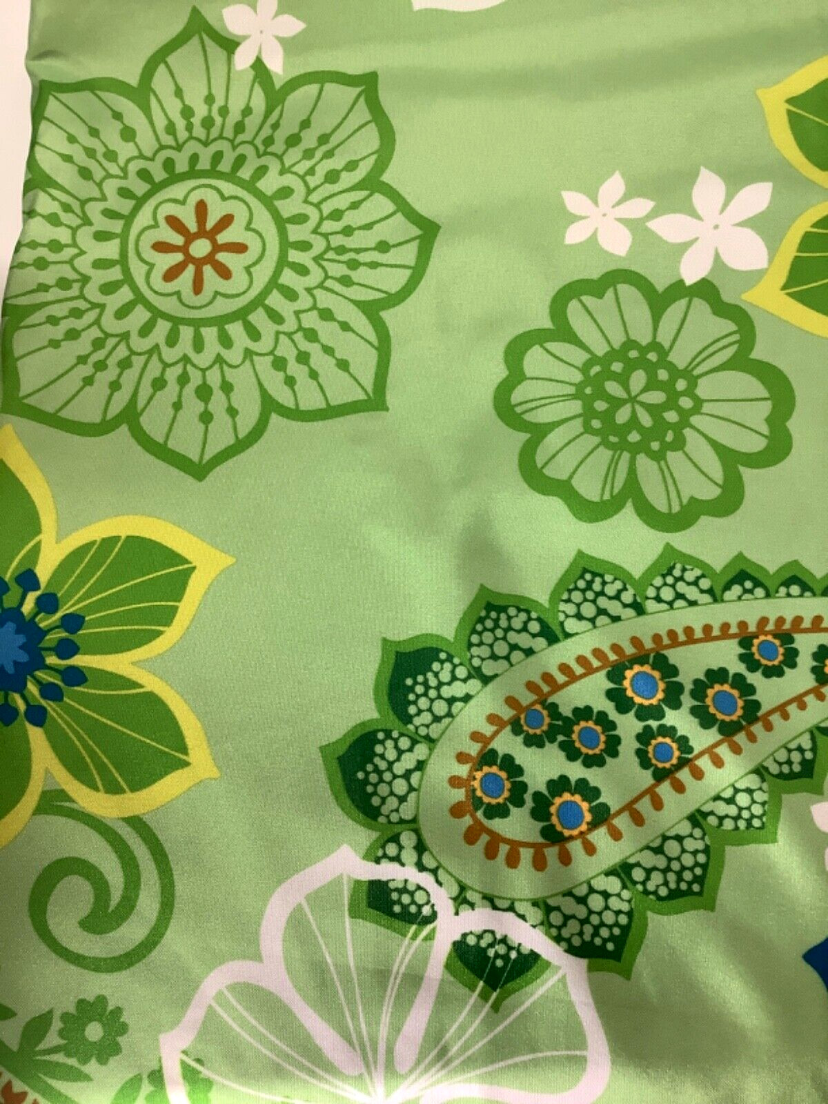 Pier 1 Imports Tara Bloom Lined Window Curtain Panel (2) 54″ x 84″ Lime Paisley