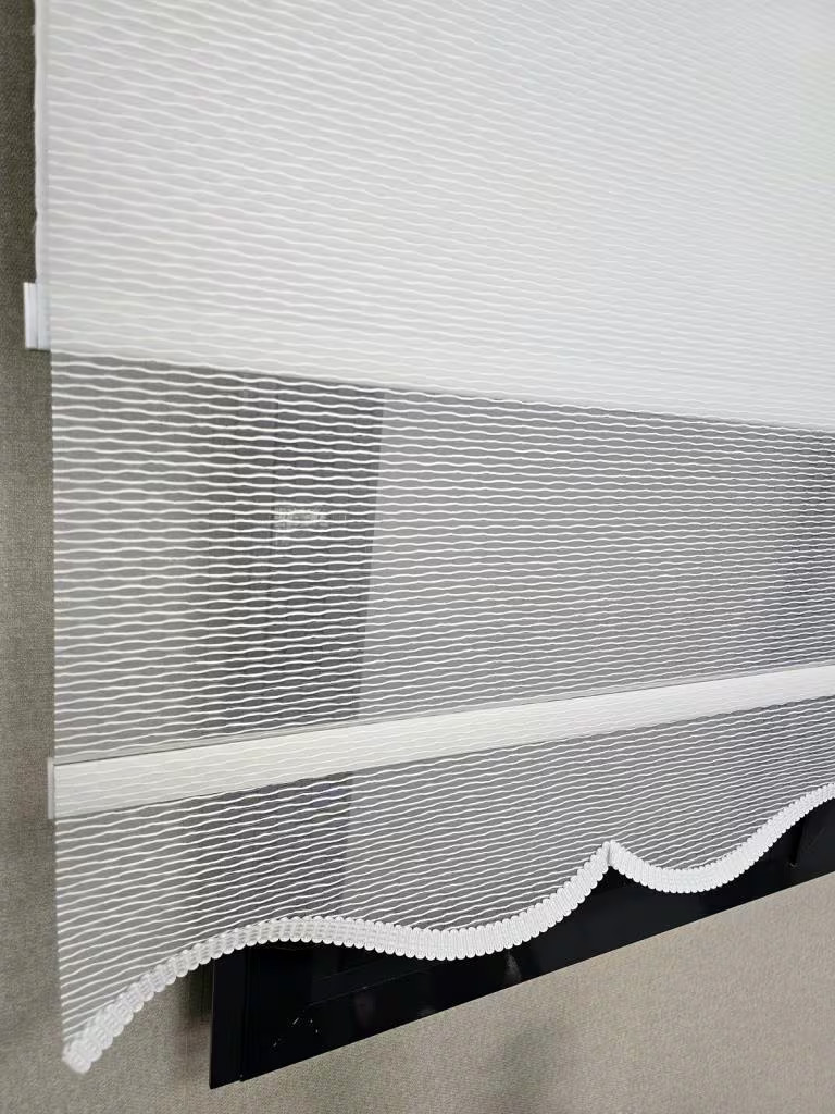Wavy Stripes Double Mechanism Tulle and Blackout Roller Blinds TS2026BL