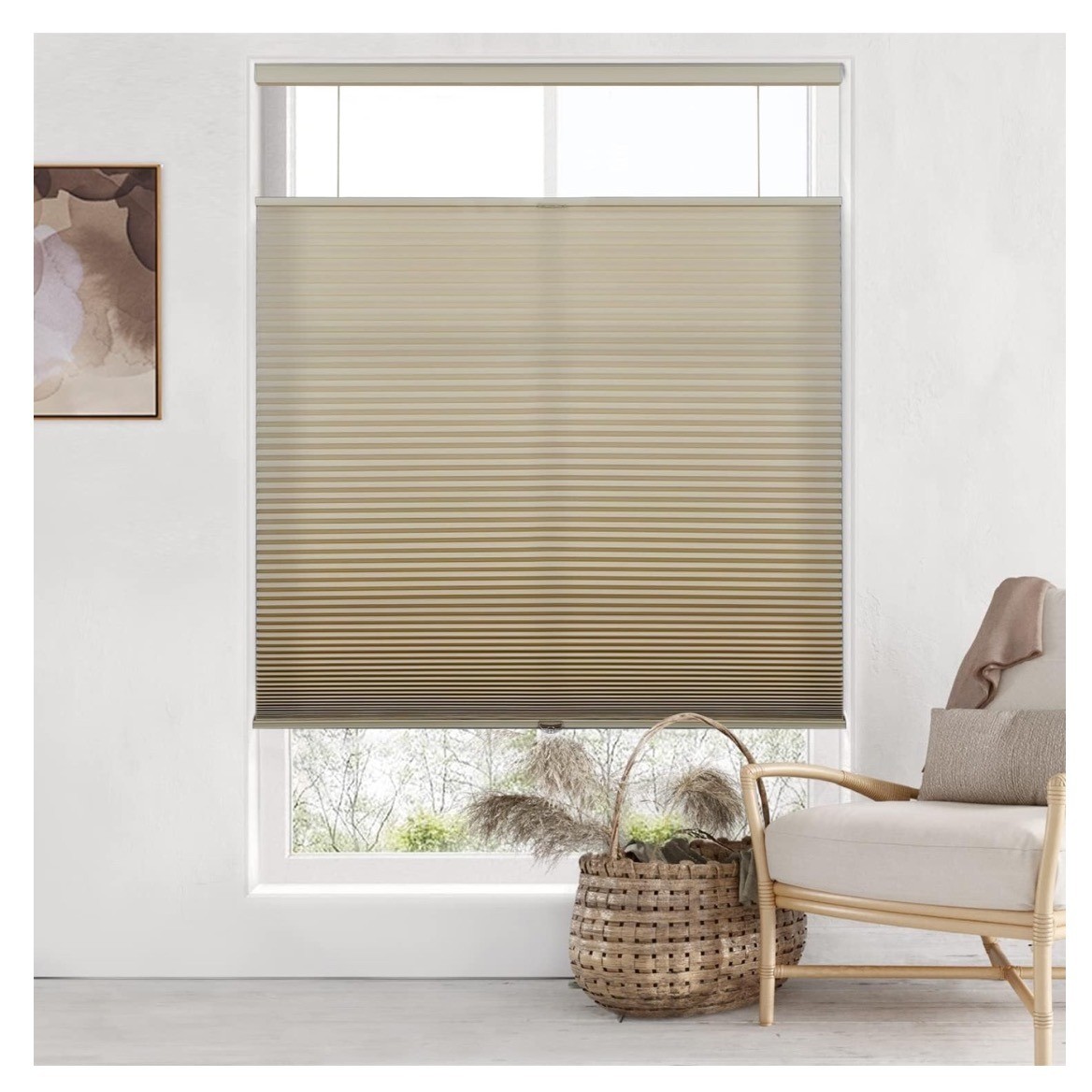 LazBlinds Cordless Shades Top Down Bottom Up Light Filtering 27″x64″ Brown