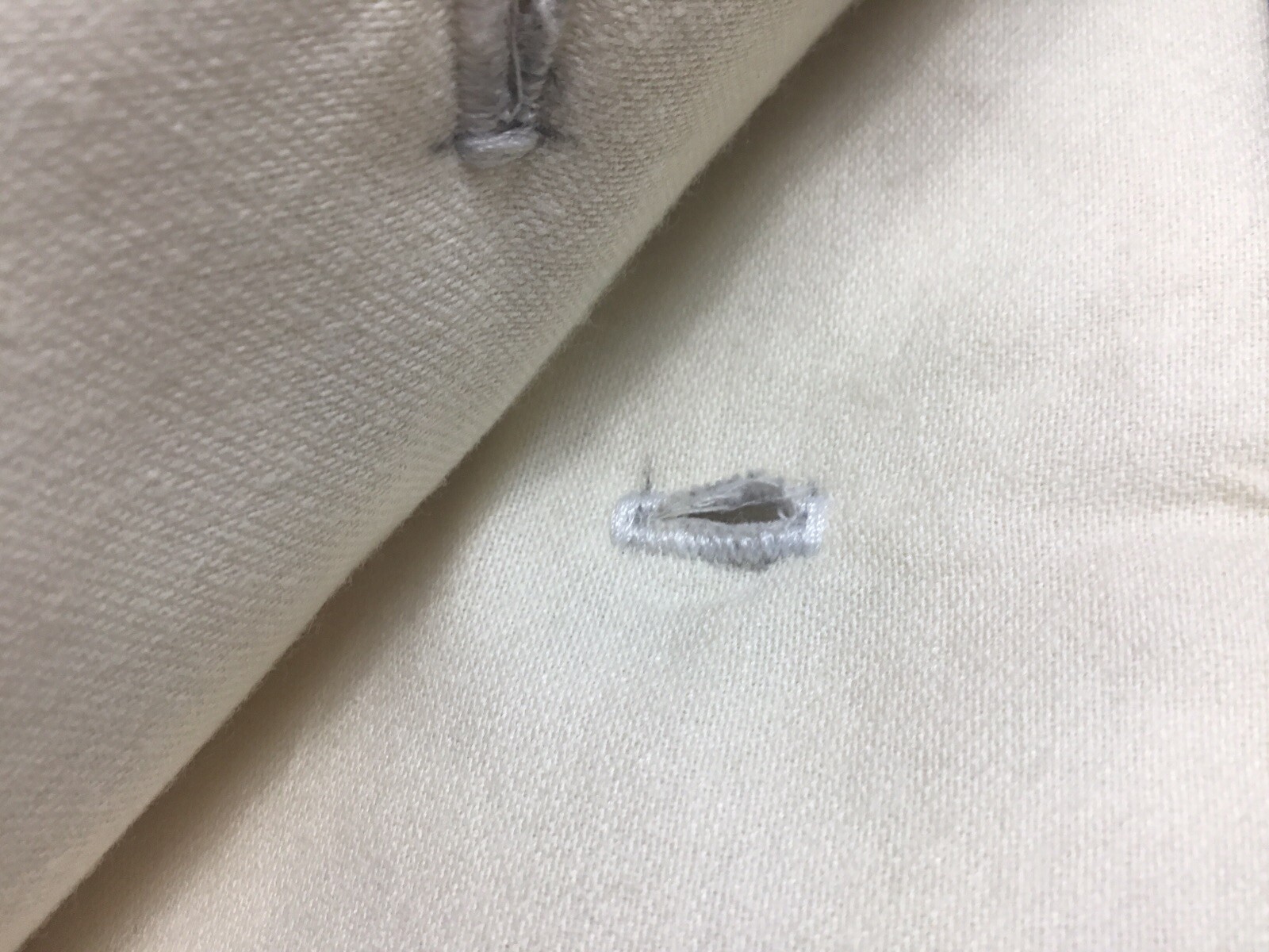 Curtain, Shower, Bedspread, Throw, Lined, 105 In Wide 80 In Long Sea Life Beige