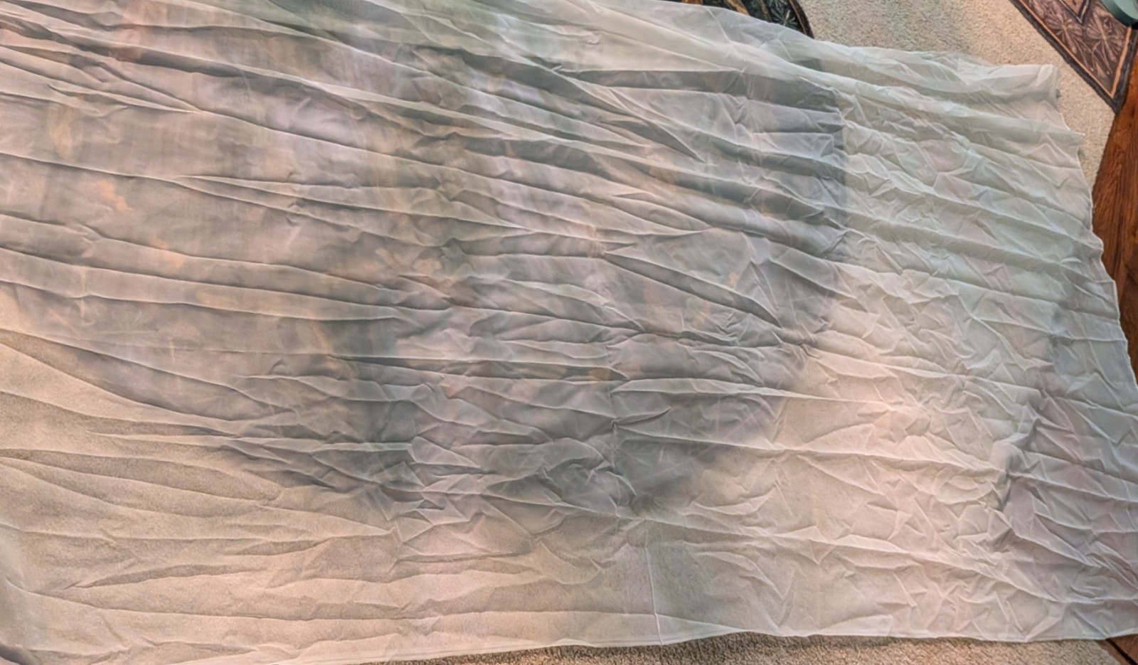 Marjorie in Oyster — Elegant Sheer Window Scarf – 216″ (L) x 59″ (W)